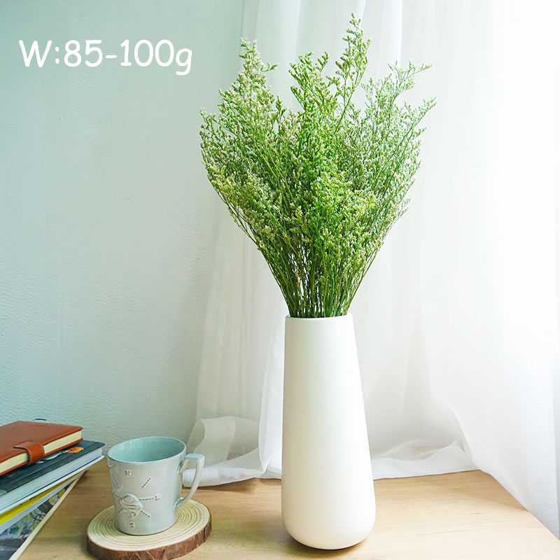 70g/Erba di Limonium Preservat - Dried Flower Bulk recensione e prezzo